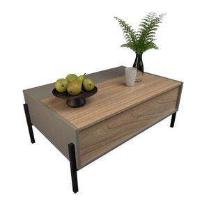 MESA DE CENTRO CON TAPA Gris Olmo 2023