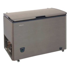 Freezer Horizontal FR3322 295 lt. Silver